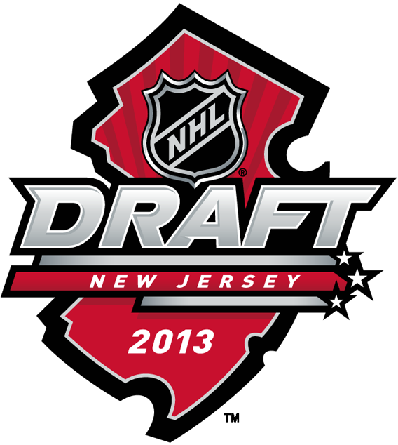 NHL Draft 2013 Primary Logo iron on heat transfer